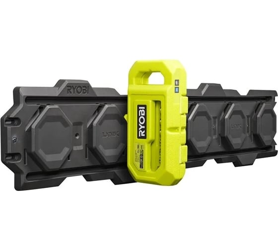 Набор из трещотки и торцевых головок Ryobi RHRS10PC 5132006067