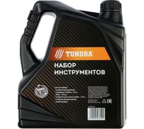 Набор инструментов TUNDRA подарочный пластиковый кейс "Канистра", 21 предмет 4506459