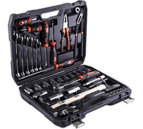 Набор инструмента Wester WT056 универсальный 1/4'' 1/2''DR 56 предметов 626580