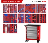 Набор инструментов МАСТАК 343 предмета, СПЕЦИАЛИСТ 343, в красной тележке 50-07343R