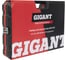 Набор инструментов 1/2, 3/8 и 1/4 147 предметов, Gigant Professional GPS 147 5