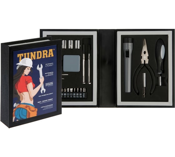 Набор инструментов TUNDRA, подарочный пластиковый кейс "Книга", 24 предмета 7379053 1