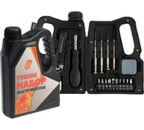 Набор инструментов ТУНДРА, подарочный пластиковый кейс "Канистра", 21 предмет 7379044