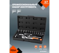 Профессиональный набор инструментов 17 предметов AV Steel AV-011017