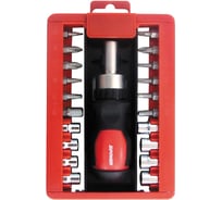 Набор инструмента Zipower 21 предмет PM5132
