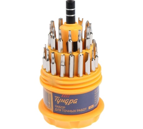 Набор для точных работ ТУНДРА CrV, держатель с битами, в кейсе, 31 предмет 7644098