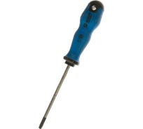 Отвертка звездочка TORX TT25 100мм с отверстием AIST 850110025 00-00014004