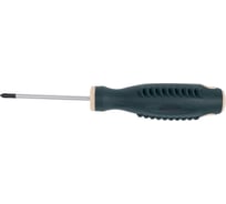 Крестовая магнитная отвертка Rockforce Profi S2 PH0.0х60мм, на пластиковом держателе RF-70300060(28257)