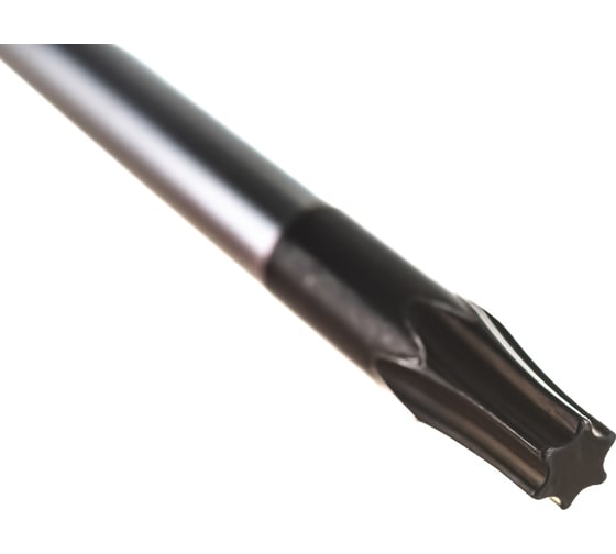 Отвертка АвтоDело TORX T20x100 мм на держателе 30820 12663