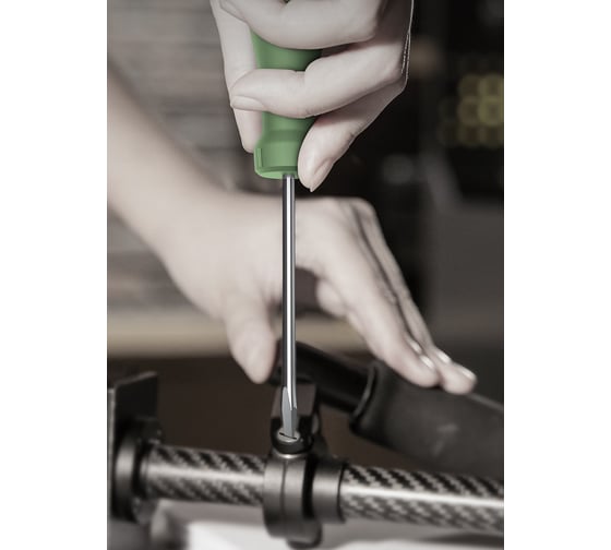 Набор отверток Deli «Home Series Green» HT1002L 2шт (PH1x100, SL5x100, Cr-V, Soft Touch рукоятка, подарочная упаковка, эксклюзивный дизайн) 130274