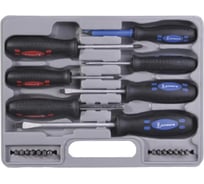 Набор отверток STAYER ТECHNO Сr-V, в боксе, 21 предмет 25083-H21