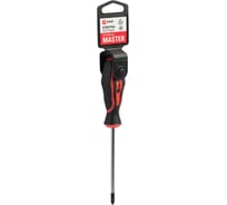 Отвертка EKF Master PZ1x100 мм Basic SQpz-1-100-mas