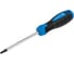 Отвертка HOEGERT TECHNIK TORX T25, 100 мм, сталь S2 HT1S056 1