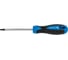 Отвертка HOEGERT TECHNIK TORX T25, 100 мм, сталь S2 HT1S056 3