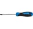 Отвертка HOEGERT TECHNIK TORX T30, 100 мм, сталь S2 HT1S058 3