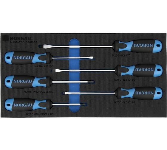 Набор отверток NORGAU в ложементе, 6 предметов, тип N250-260-060, 062002805