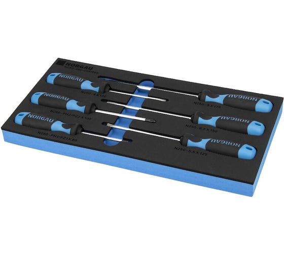 Набор отверток NORGAU в ложементе, 6 предметов 400х200,тип N250-260-006, 062002804