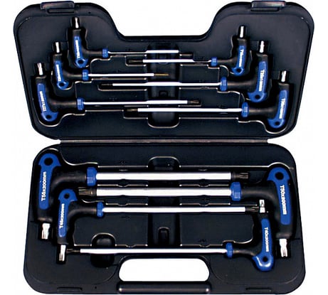 Набор отверток AmPro TORX с Т-образной ручкой10 предметов в чемодане T22900