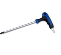 Отвертка AmPro TORX T20x100 мм, с Т-образной ручкой T22805