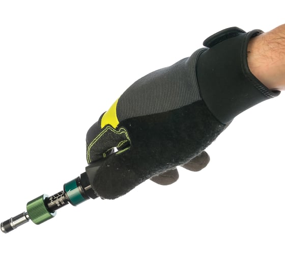 Отвертка с регулировкой крутящего момента Pro'sKit SD-T635-16 00322517
