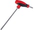 Т-образный ключ TORX 6-гранный с рукояткой T25 IZELTAS 4909220025 3