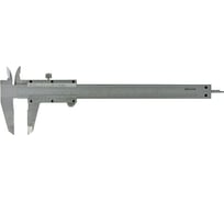 Штангенциркуль Micron ШЦ-1-300 0.05 дв шк МИК 116488
