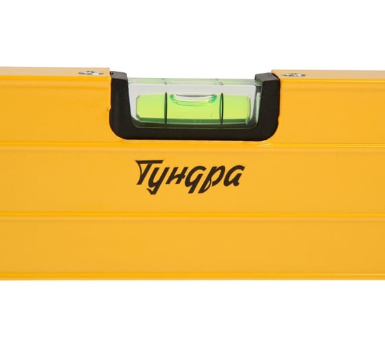 Уровень ТУНДРА алюминиевый, 3 глазка /1 поворотный глазок/, 1000 мм 2964639