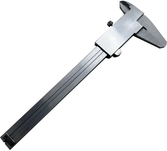 Штангенциркуль ЧИЗ ШЦ-1-125 0,05 С ПОВЕРКОЙ (ГРСИ № 72189-18) 011589
