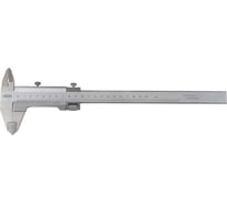 Штангенциркуль двусторонний с микрометрической установкой нониуса RGK SCMM-300 757164