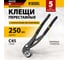 Переставные клещи Denzel кнопочный механизм, обливные рукоятки, 250 мм 17906 2