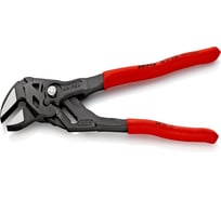 Переставные клещи KNIPEX 52 мм 2, L-250 мм, серые, 1-к ручки, подвес KN-8601250SB