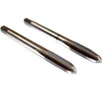 Метчик м/р 6,0х1,0 2шт Р6М5К5 STV 00-00000705