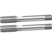 Машинно-ручные метчики Зубр ЭКСПЕРТ М12 x 1,5, 2шт 4-28007-12-1.5-H2