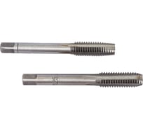 Метчик в пластиковом футляре ЭВРИКА M08x1,25 2шт ER-00812M