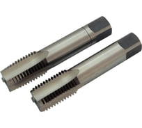 Метчик в пластиковом футляре ЭВРИКА M22x2,5 2шт ER-02225M