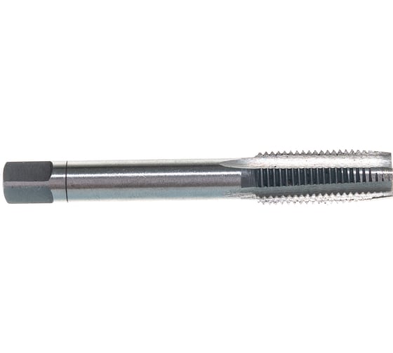 Метчик в пластиковом футляре ЭВРИКА M09x1 2шт ER-00910M