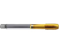 Метчик Guhring M24x2, HSS-E-PM, тип N, TiN, скв. отв., Powertap 5739 24,008