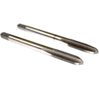 Метчик м/р 3,0х0,5 2шт Р6М5 STV 00-00004354