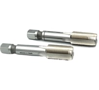 Машинно-ручной метчик TORNERI М22х2 комплект из 2-х штук Р6М5 028723
