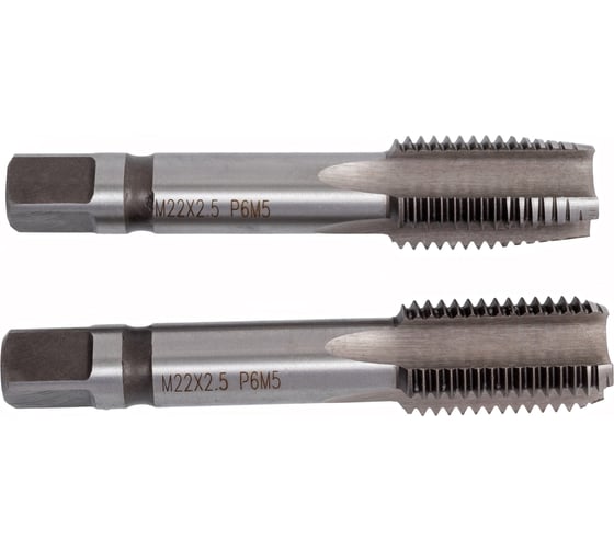 Метчик БИЗ М 22,0*2,50 ручной компл. 2225mrkt 1