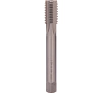 Метчик машинный Bucovice Tools М 22, шаг 2.5 мм, HSSE DIN376 194220