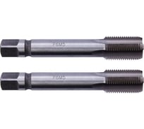 Трубный метчик SDW TOOLS м/р G5/8 Р6М5 компл. 2шт. ГОСТ 3266-81 tt20058