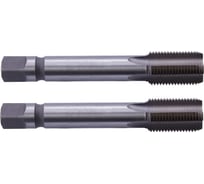 Трубный метчик SDW TOOLS м/р G1 1/2 Р6М5 компл. 2шт. ГОСТ 3266-81 tt20112