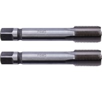 Трубный метчик SDW TOOLS м/р G1/4 Р6М5 компл. 2шт. ГОСТ 3266-81 tt20014