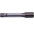 Трубный метчик SDW TOOLS м/р G5/8 Р6М5 для скв.отверстий ГОСТ 3266-81 tt00058 1