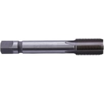 Трубный метчик SDW TOOLS м/р G1 1/4 Р6М5 для скв.отверстий ГОСТ 3266-81 tt00114