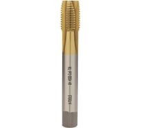 Метчик машинный H-Tools М36 шаг 4.0мм DIN376 HSSE-TiN 6h 200мм a=22 113X01-D2-0360
