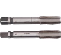 Метчик м/р SDW TOOLS М22х2,5 P6M5 к-т 2 шт. с прох. хв. ta00166