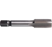 Метчик м/р SDW TOOLS М27х3,0 Р6М5 Lh для скв. с прох. хв. ta00213