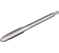 Метчик м/р SDW TOOLS М6,0х1,0 P6M5 к-т 2 шт. с прох. хв. ta00139